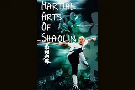 少林武僧智明终报父仇，这才是真正的少林功夫图片