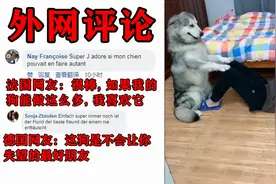 中国网红“汪星人”火到国外了，老外：这是最佳教练！视频封面