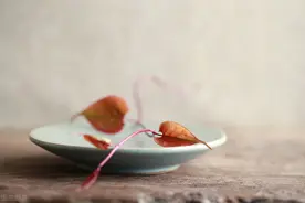 很棒的摘抄，快来收藏图片