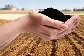 友情链接：别再上当了！揭穿生物菌肥的这些骗局！图片