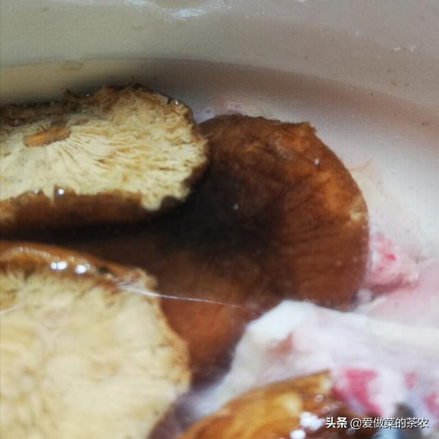 土伏苓灵之能加花胶一同煲码 2026年土伏苓能跟灵芝煲汤吗