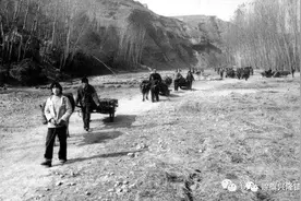 平顶山拉煤路上的那些故事图片