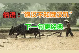 俗语“饱汉不知饿汉饥”下一句更经典，道出了人间的沧桑视频封面