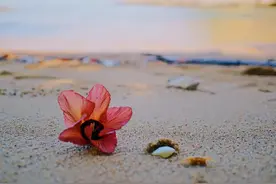 抓住男人心的最佳途径：明白他的三个天性图片