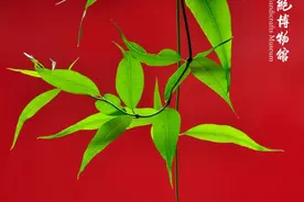 秘境承恩 | 一花阶前落 新秋晚风微图片