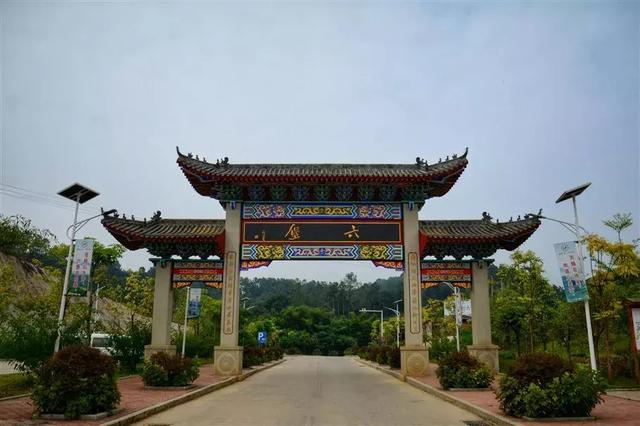 六堡茶丨可以喝的古董：一半是茶，一半是药