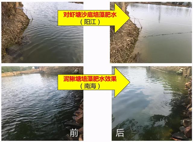 养殖难肥水，不妨用以下方法