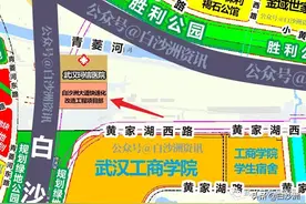 来了！白沙洲大道快速化改造工程项目部图片