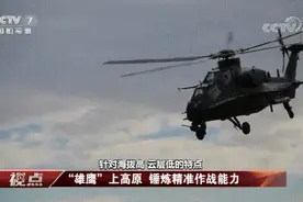 解放军“高原雄鹰”组合：直-10、直-8G，还有“为高原而生”的直-20图片