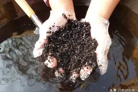 女人一旦体重超过120：早中晚空腹吃这4样，建议都看看图片