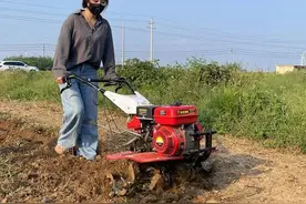 新式“微耕机”一出，环保省油，轻松省力图片