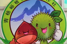 深耕板栗产业，实现“三产融合”（图）图片