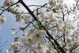 315曝光招聘平台：给钱就可以下载简历背后的思考图片