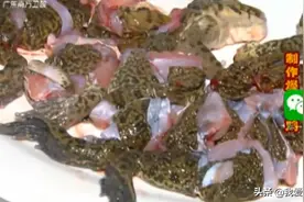 大厨教你制作爆炒田鸡，这个做法很独特，可以锁住肉汁更加鲜嫩视频封面