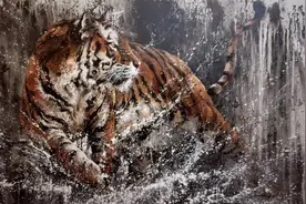 94年小哥用中国风泼墨涂鸦惊艳百万粉丝，网友：这画风也太酷了吧图片