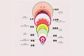 顺产开十指是怎样的体验？“水果图”带你了解过程，感叹生娃不易图片