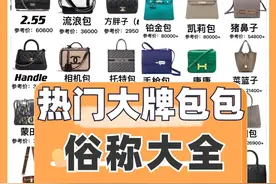 各大牌包包俗称大全图片
