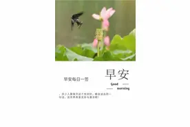 我就是自己的太阳，无须凭借谁的光，共勉，早安图片