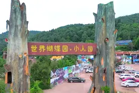 云南“小人国”：身高不足1.3米，表演屡遭质疑，却愈战愈勇图片