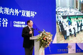 李若谷：我国人均可支配收入提高4倍左右，实现内循环会更容易图片