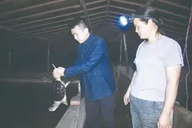 村支书变身“美食up主”养殖鳄鱼龟增彩贫困村图片
