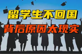 海归学成不回国！我们是养了白眼狼，还是他们另有苦衷？图片