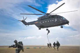 空中突击，新型陆军换羽腾飞图片