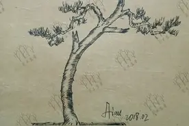 爱木盆景I 小型单干桩材多余的枝干不要乱剪，做成舍利刚刚好图片