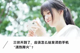 实测全网手机「散热神器」！价格相差10倍，没有一个靠谱图片