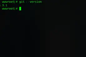 技术篇，多人协作开发之 git 服务器搭建图片