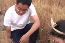 高考农林专业往往降分录取，农学博士还被当做反面教材“没出息”图片