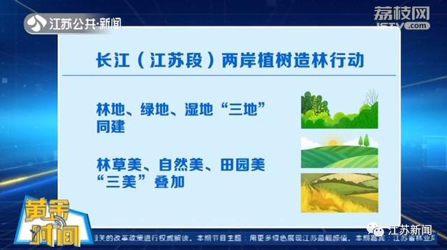 再不用靠进口！全国近1/3的碧根果竟产自江苏这里丨黄金时间