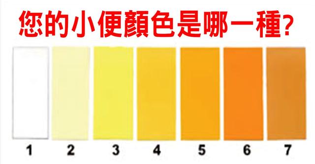 尿液里暗藏的那些健康密码，必知！