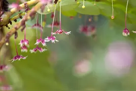 68岁老人倾诉：人到老年，要学会享受孤独与寂寞，不要轻易找老伴图片
