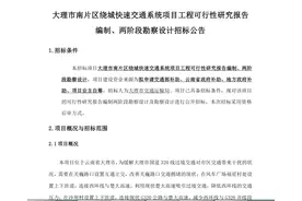 站满外来开发商的大理，这条绕城快速路的建设，能带来什么变化？图片