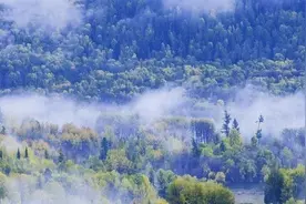 森林康养项目如何规划？图片