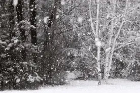 你说你将要远行，我没有留你，也没有送你图片