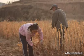 为何不能以户口确定农村集体经济组织成员身份？图片