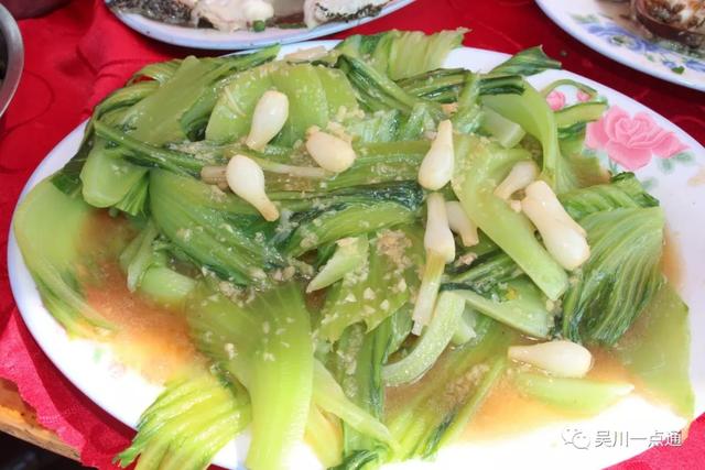 吴川有花胶吗 2026年吴川市花 吴川有花胶吗 2026年吴川市花