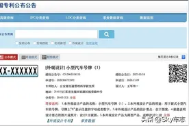 新车牌要来了！？都说比现在好看很多....图片