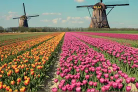 “上帝造海 荷兰造陆”，荷兰抽干大海，让一半国民住在海底图片