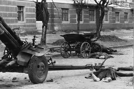 苏军“怪物”成德军噩梦：我们在50米外开炮，他们直接都不搭理图片