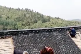 农村俗语“目不晒根，口不吞阳”，听着很奇怪，你知道什么意思吗视频封面