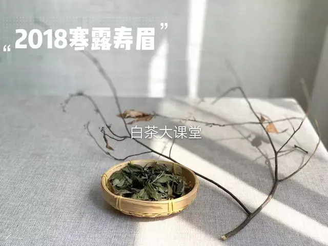 白茶不一定是白色，可是变黑一定有问题