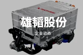 如何对雄韬股份估值？图片