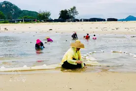 惠州野沙滩大汇总：8个野沙滩，人少景美海货多，一个都不能错过图片