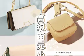 百元小众包包｜贫民窟女孩也能背出高级感图片