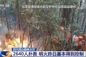 四川凉山州森林火灾 过火面积约89公顷 2640人进行扑救图片