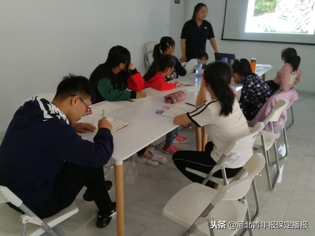 保定网站建设培训机构（这家教育培训机构专注脑力开发 拒绝提前教授文化课）