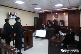 吉林省两人抓鹰当宠物？判了！图片